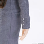[AZONE] Ex☆Cute Family Minami Sensei ~A Day in the Life of Teacher Minami -Class Observation Day Ver.- 20th Anniversary Model